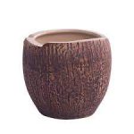 APS  BAR - TIKI COCONUT 565 ML