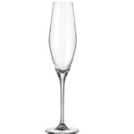 BOHEMIA CRYSTAL - LOXIA CHAMPAGNE 210 ML
