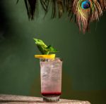LIBBEY - MODERN AMERICA COLLINS 260 ML - Image 2
