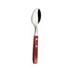 TRAMONTINA - TABLE SPOON POLYWOOD HANDLE 21 CM