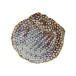 TOGNANA - MARINE REEF DINNER PLATE 32 x 30 CM RY000325960