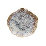TOGNANA - MARINE REEF DINNER PLATE 29 x 28 CM RY000295960