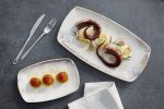 LEONE - GALASSIA DECORATED MELAMINE RECTANGULAR PLATE 29.5 x 15 x 2.5 CM - Image 2