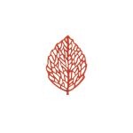SILIKOMART - SILICONE MOULD N.24 FOREST LEAVES 66 x 30 MM + 62 x 43 MM - Image 3
