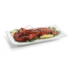 *DISCONTINUED - TC - FROSTONE RECTANGULAR DISPLAY TRAY 49.5 x 26.5 CM - Image 2