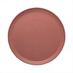 PLATO - WINGS TERRA MATT FLAT PLATE 29 CM