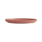 PLATO - WINGS TERRA MATT FLAT PLATE 29 CM - Image 2