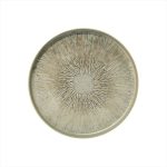 PLATO - EARTH FLAT PLATE 20 CM