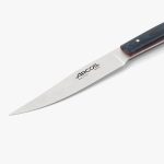 ARCOS - ORIGIN MICARTA STEAK KNIFE BLUE 23 CM - Image 2