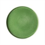PREGO - GEO REACTIVE FLAT PLATE GREEN 26.6 x 2.5 CM