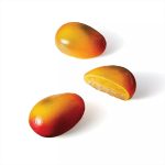 SILIKOMART - MANGO 130 SILICONE MOULD WHITE 93 x 57 MM H: 42 MM + CUTTER - Image 4