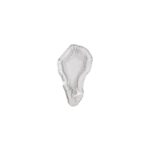 GLS - OYSTER GLASS DIP CLEAR 11 x 7 CM