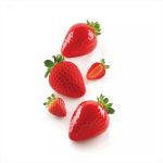 SILIKOMART - FRAGOLA120 STAMPO IN SILICONE 60 x 77 H: 54 MM + SUPPORT IN PLASTIC - Image 2