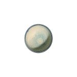 ROOTS - CHARMA ROUND BOWL 8 CM - Image 2