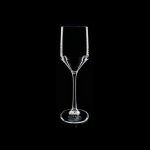 NT PLASTICS - V-SHAPE POLYCARBONATE FLUTE GLASS 170 ML