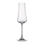 BOHEMIA CRYSTAL - IDUNA CHAMPAGNE GLASS 250 ML