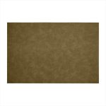 GTSA - LEATHER PLACEMAT OLIVE GREEN 45 x 30 CM